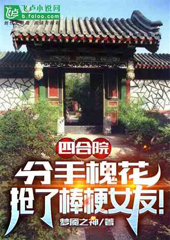 四合院：分手槐花，抢了棒梗女友 作者:梦魇之神 1-319章 TXT免费下载